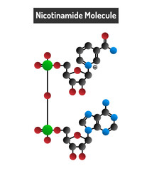 Nicotinamide Molecule - Structure, Properties, and Applications