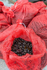 Bags of foraged periwinkle Littorina littorea, whelk small edible sea snails collected off scotland