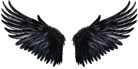 A pair of black feather wings on a transparent, isolated background. Cut out or PNG.