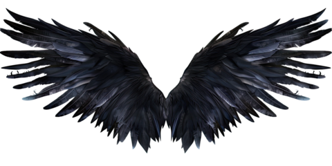 A pair of black feather wings on a transparent, isolated background. Cut out or PNG.