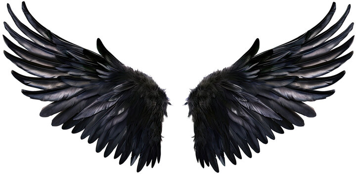 A pair of black feather wings on a transparent, isolated background. Cut out or PNG.