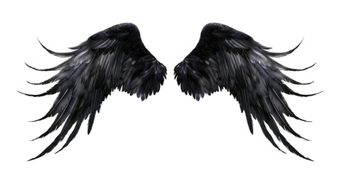 A pair of black feather wings on a transparent, isolated background. Cut out or PNG.
