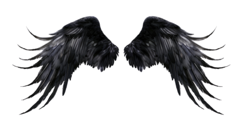 A pair of black feather wings on a transparent, isolated background. Cut out or PNG.