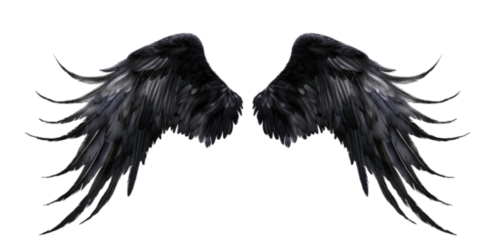 A pair of black feather wings on a transparent, isolated background. Cut out or PNG.