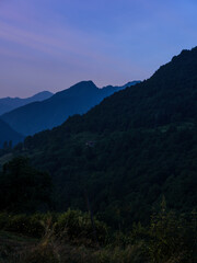 Twilight Magic: Captivating Firefly Display in the Italian Countryside