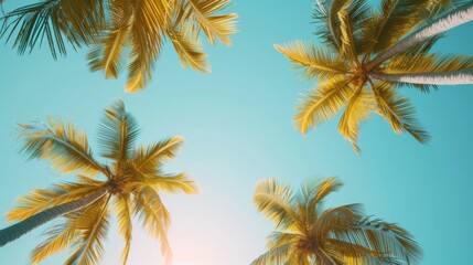 Palm branches swaying gently against a clear blue sky