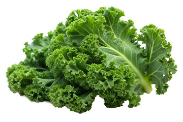 One isolated kale
