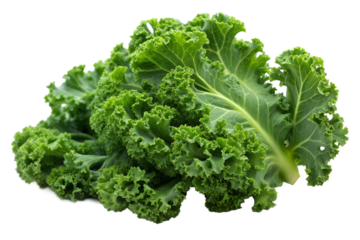 One isolated kale