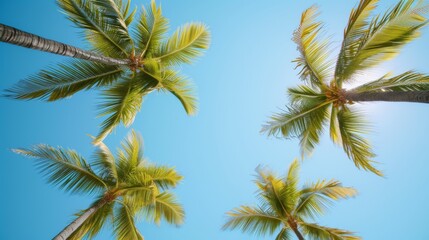Obraz premium Palm branches swaying gently against a clear blue sky