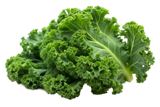 One isolated kale