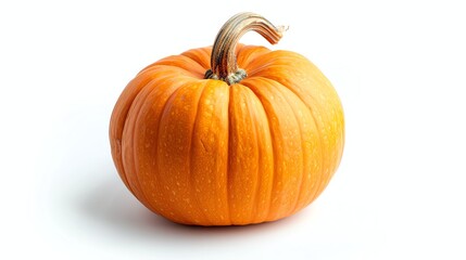 Obraz premium This is a photo of a pumpkin. It has a smooth, orange surface and a brown stem. It is sitting on a white background.