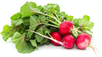Fresh radishes with green leaves on a white background. The radishes are red and round, with white roots.