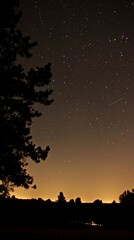 Naklejka premium A silhouette of a tree with a star-filled night sky in the background