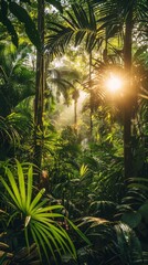Naklejka premium Sunlight filters through dense foliage in a tropical jungle