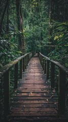 Obraz premium A wooden bridge leads through a dense forest