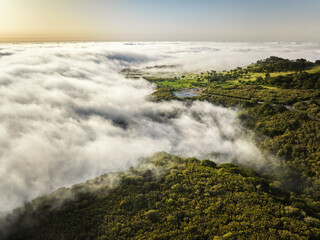 Aerial view of idyllic scenic Fanal Laurisilva forest with centuries-old til trees with road above clouds. Madeira island, Portugal