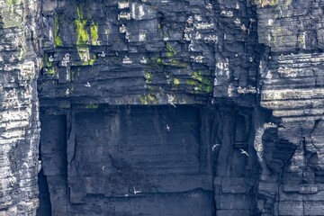 Fototapeta premium Cliffs of Moher, Ireland