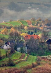 Agricultural landscape with fields of fruit trees and foggy landscape after rain. Romantic rural landscape. Sunny morning in countryside, fields with morning dew and fog  © Ivan