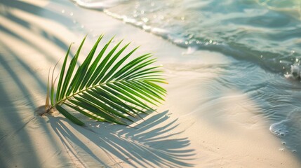 Palm leaf on sandy beach with clear water wave tropical travel backdrop