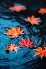 vibrant orange and red maple leaves gently floating on the surface of a dark, reflective body of water