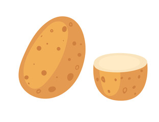 Whole and halved potato. Ripe food crop, natural organic vegetables. Potatoes tubers set. Flat vector illustration isolated on white background