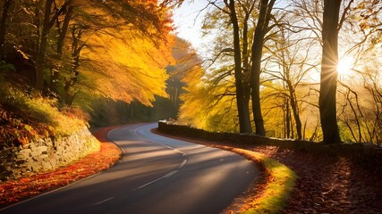 road in autumn forest