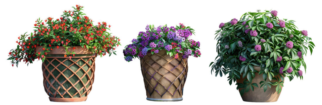 Botanical Harmony Planters with Trellises   Studio Shotcut out PNG on transparent 