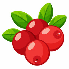 Cranberry Vector Art- Stunning Illustrations and Designs