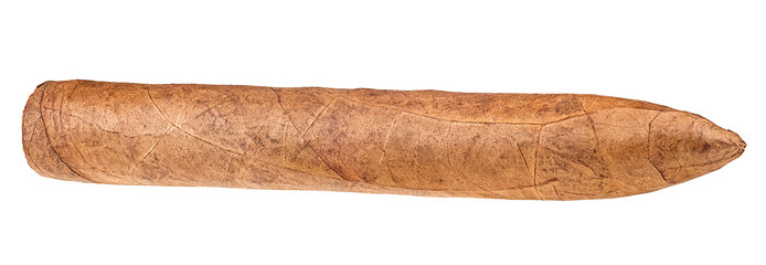 Brown luxury cigar isolated on a white background