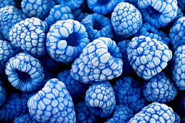 Berries background - frozen blue raspberries covered with hoarfrost. Summer berries, top view....