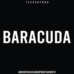 Obraz premium modern alphabet font type set