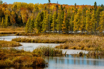 The small river winds its way around the bog and shoreline, as the trees in early October start changing colors near Land O' Lakes, Wisconsin in Vilas County