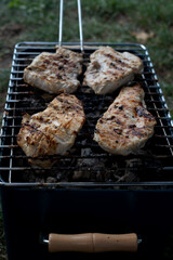 freshness, grilling, ready-to-eat, close-up, grass, hot, homemade, lifestyle, nature, background, garden, smoke, weekend activities, juicy, tasty, enjoy, protein