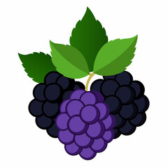 Elegant Blackberry Vector Art High-Resolution Design for Modern Projects