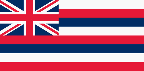 Hawaii State Flag background illustration