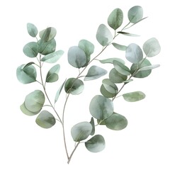green leaves isolated on white