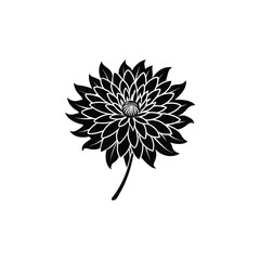 flower isolated flower, nature, plant, vector, decoration, design, floral, purple, flowers, blossom, illustration, petal, macro, ornament, bloom, flora, beauty, leaf, chrysanthemum, pink, lotus, cornf