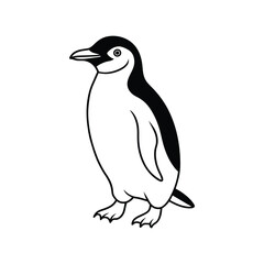 penguin isolated on white background penguin, bird, animal, vector, cartoon, cold, illustration, antarctica, winter, ice, nature, white, black, arctic, wildlife, cute, snow, animals, isolated, polar, 