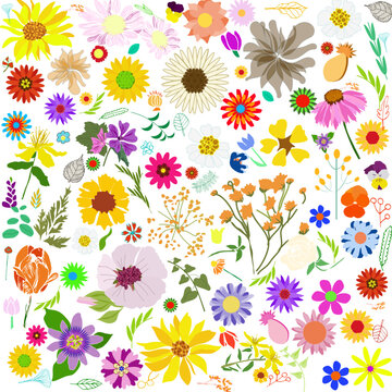 Sfondo con tanti fiori colorati di primavera