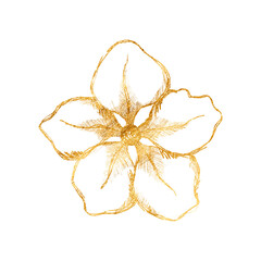 Gold linear illustration of flower isolated on a white background