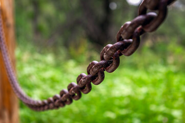 Close-Up of Rusty Chain in Outdoor Natural Setting