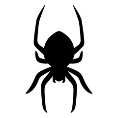 Silhouette of black spider.Spider close-up.Vector spider icon.Big scary spider on transparent background.