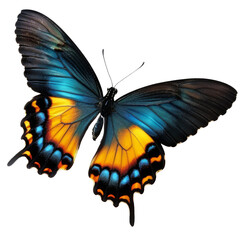 Naklejka premium Flying colorful butterfly isolated on transparent background PNG