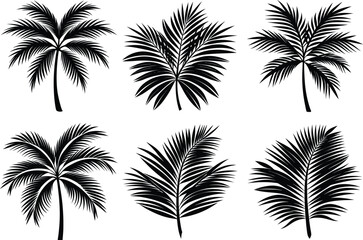 Set of palm leaves and branches black on white background