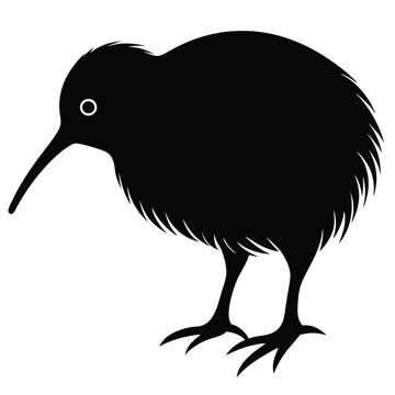 recommend clip art: Black kiwi silhouette on a white background