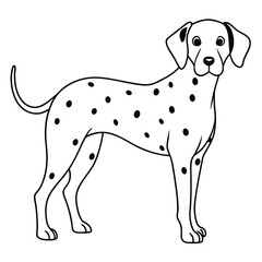 Dalmatian dog breed illustration in vector format