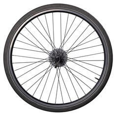 Fototapeta premium Rear bicycle wheel with sprocket mounted on a quick release. Isolated background.