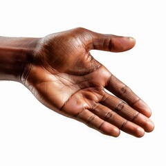 Fototapeta premium Hand reaching out poised to open a delicate flower