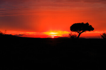 S&uuml;darika, Landschaft