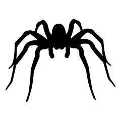 Large scary spider.Silhouette of black spider.Spider close-up.Vector illustration.